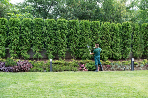 Lawn Watering Services in Riverview, DE